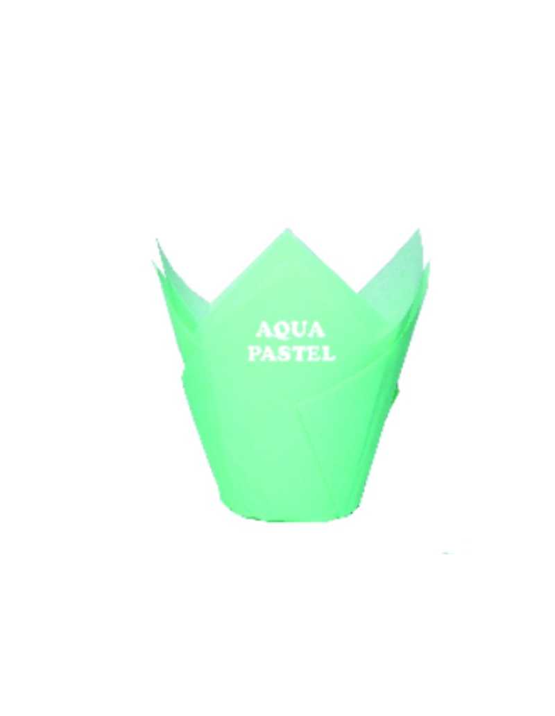 TULIPAS PASTEL Nº16 AQUA x50